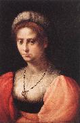 PULIGO, Domenico Portrait of a Lady agf oil painting
